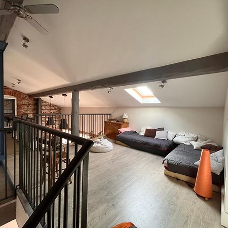 טולוז Magnifique Maison Toulousaine מראה חיצוני תמונה