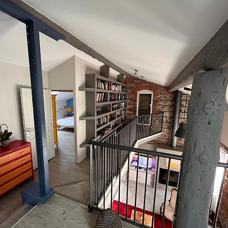 טולוז Magnifique Maison Toulousaine מראה חיצוני תמונה
